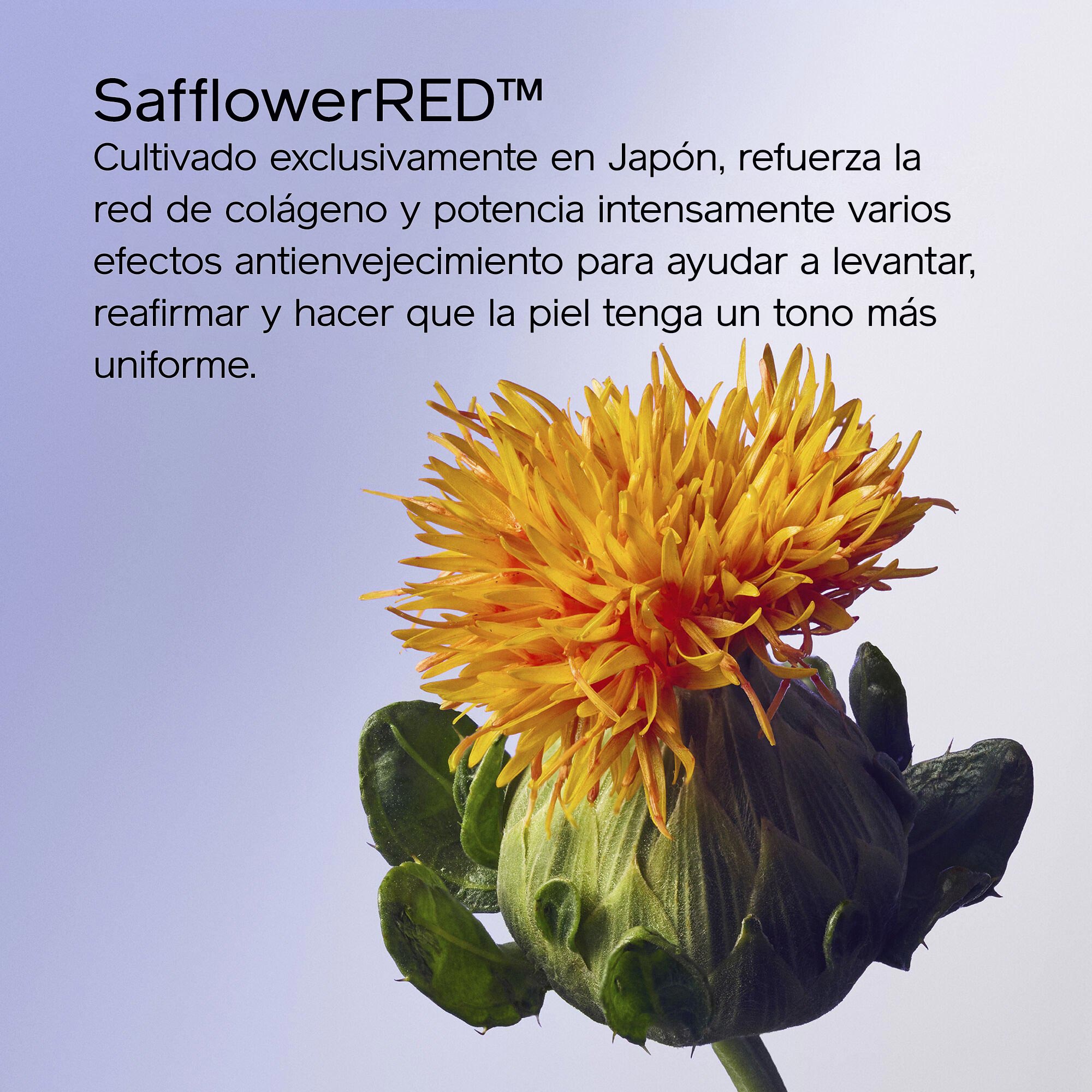 Advanced Lifting & Firming Set (valor de -$223,