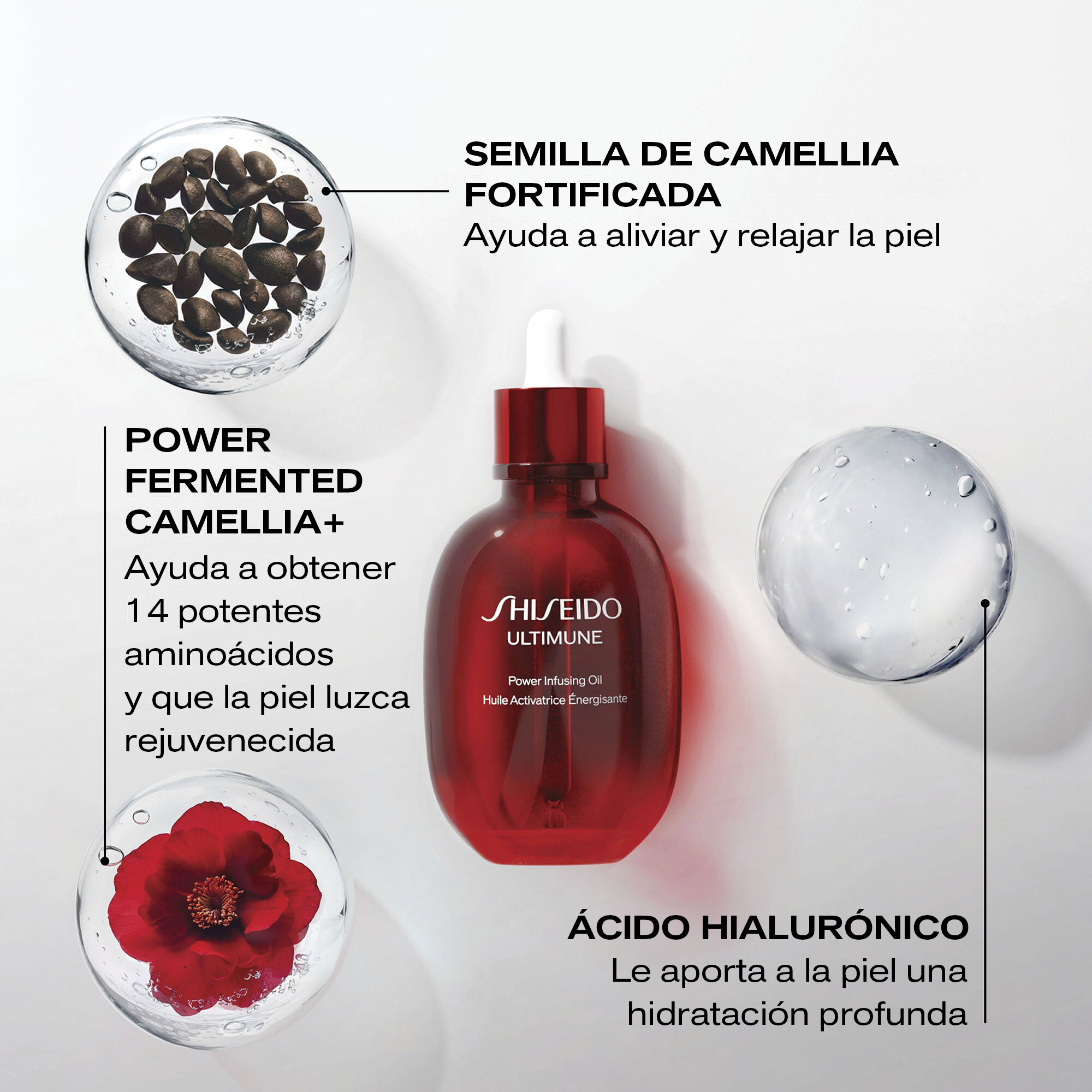 Power Infusing Oil,