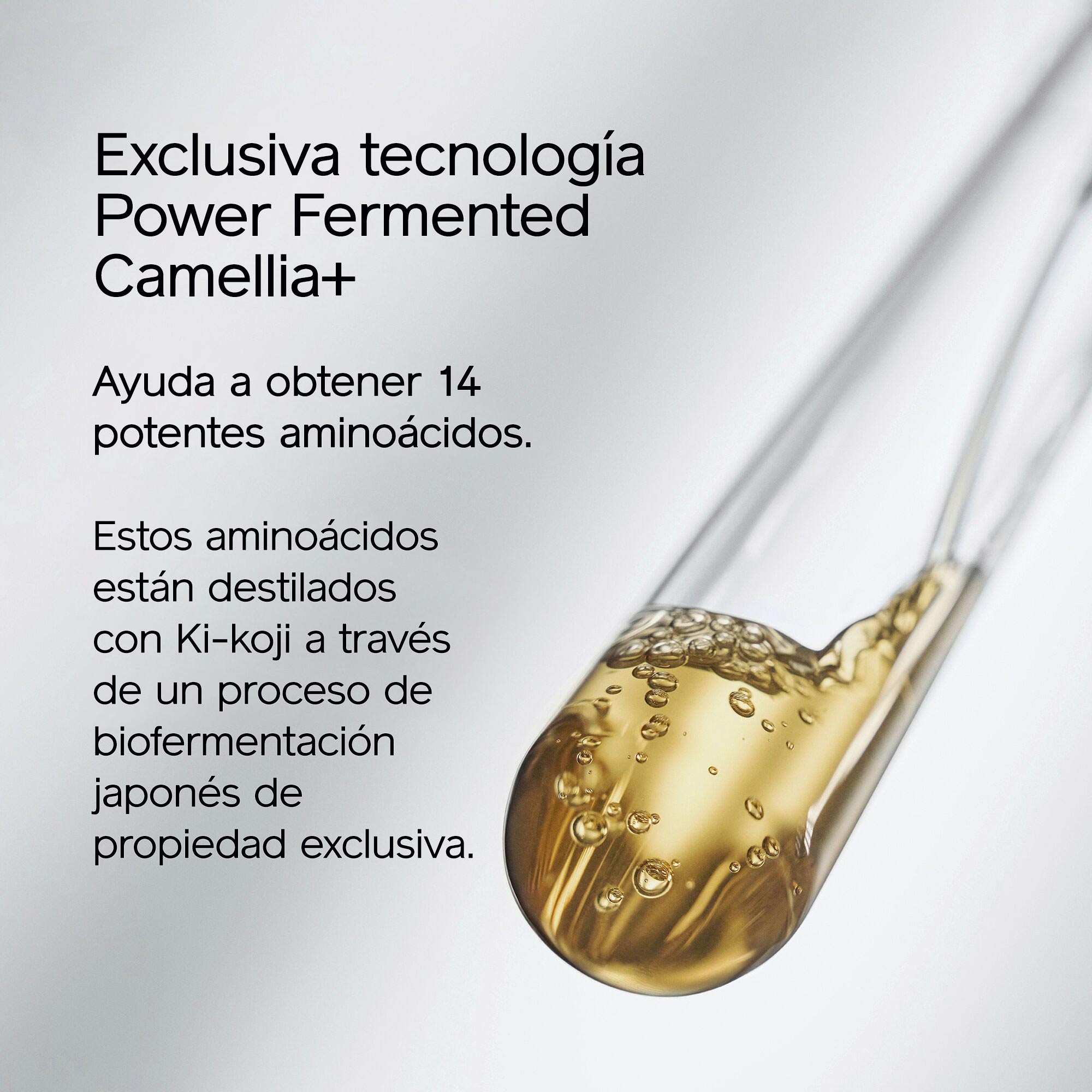 Un tubo de ensayo transparente con un líquido dorado y burbujeante sobre un fondo claro. El texto adjunto dice: "Exclusiva tecnología Power Fermented Camellia+. Ayuda a obtener 14 potentes aminoácidos. Destilados mediante un proceso de biofermentación japonés de propiedad exclusiva con Ki-koji".