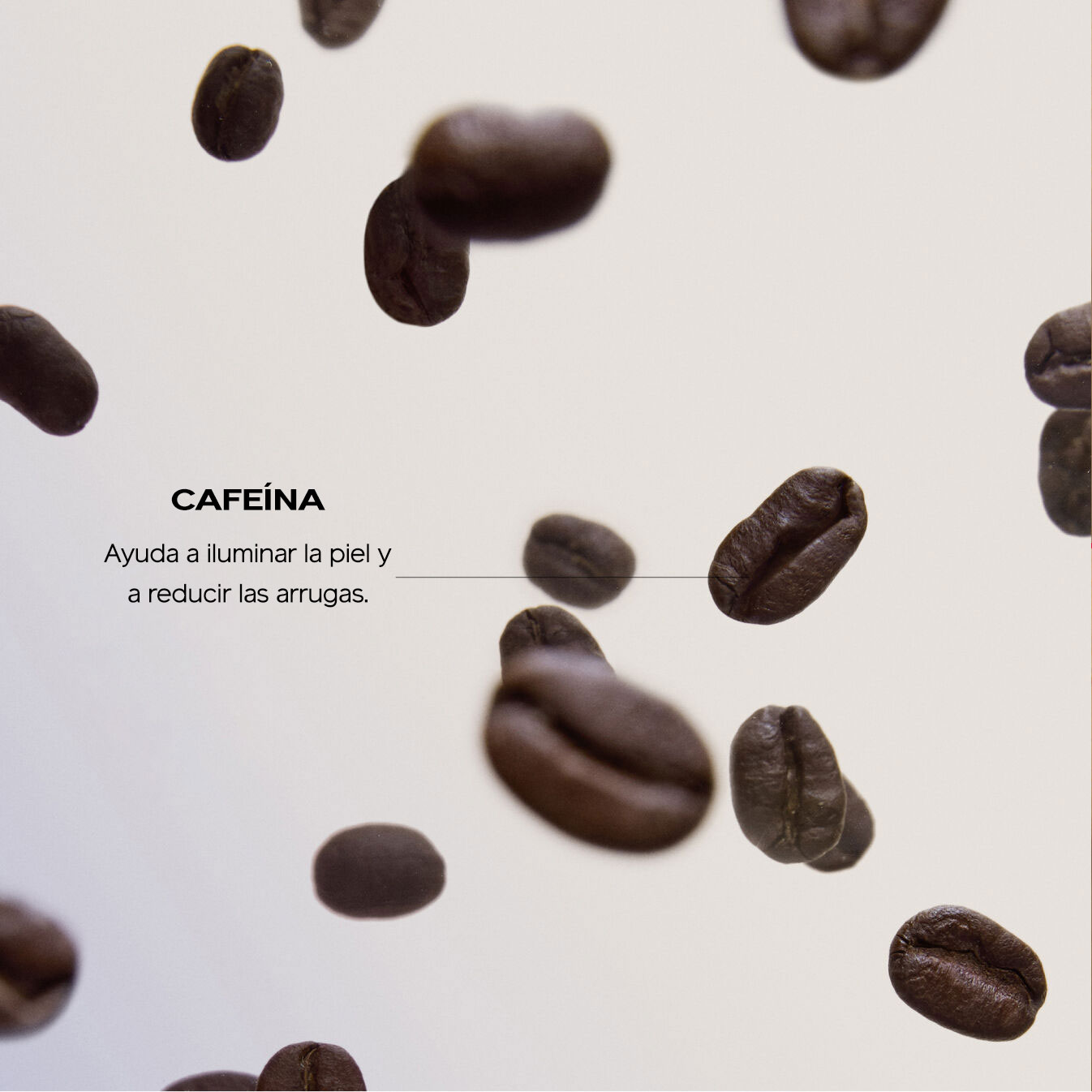Granos de café oscuros flotando contra un fondo claro con un rótulo que apunta a un grano donde se lee: "CAFEÍNA: ayuda a iluminar la piel y a reducir las arrugas".