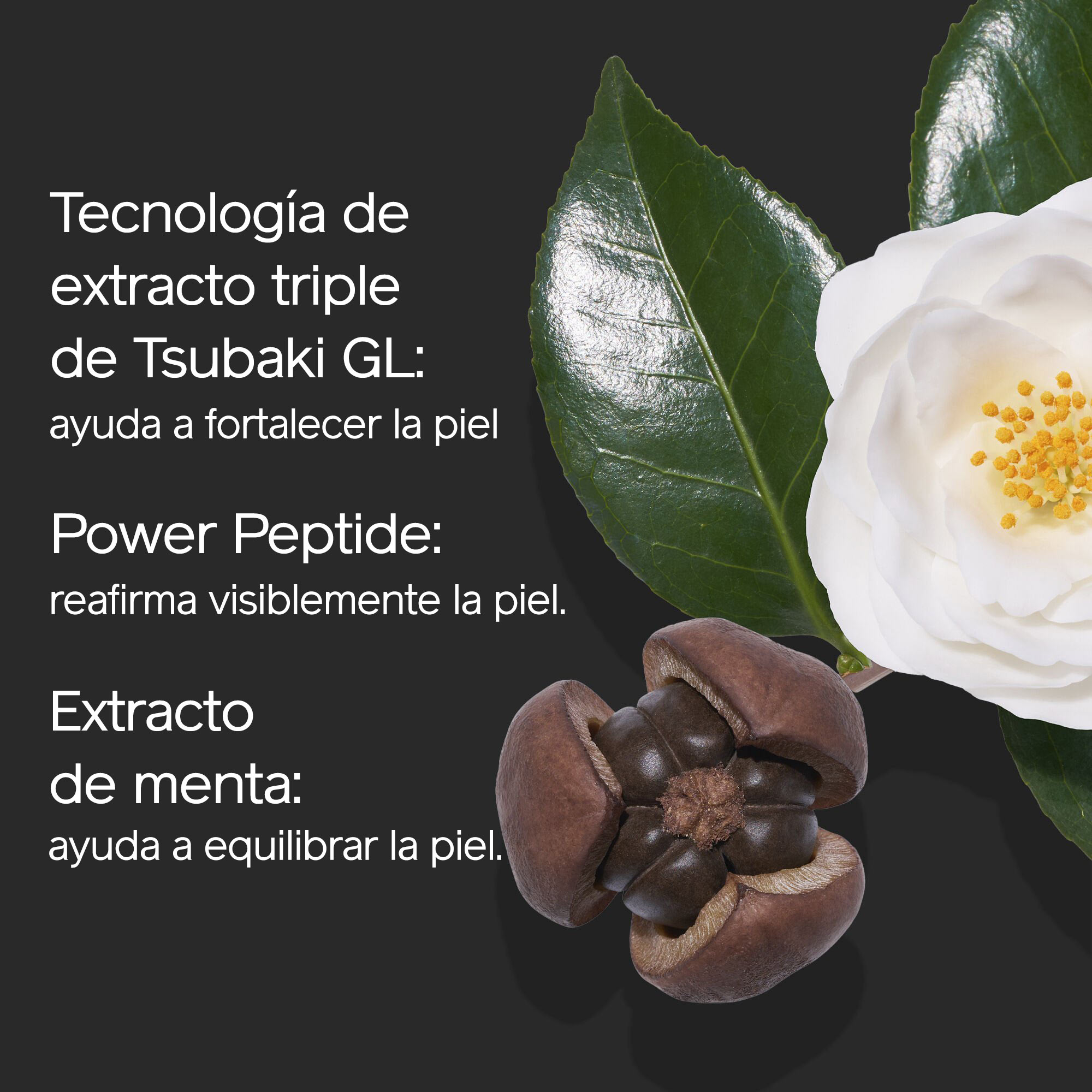 Ultimune Power Infusing Serum,