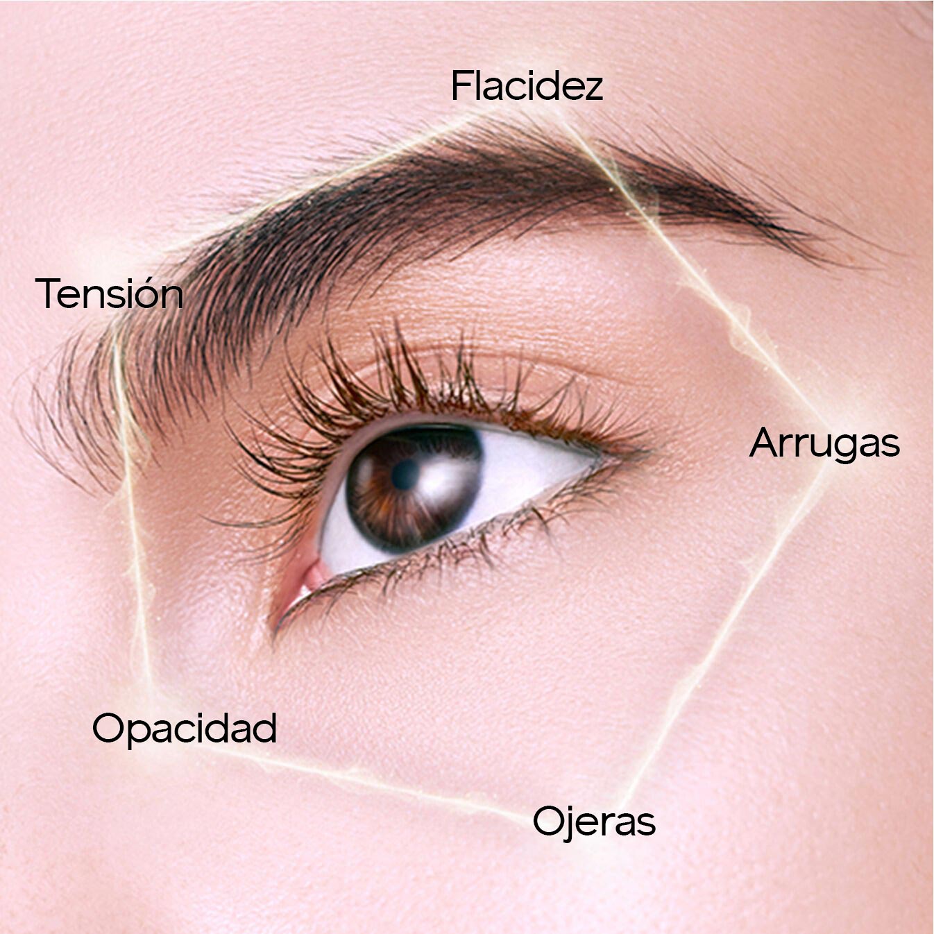 Future Solution LX Legendary Enmei Ultimate Brilliance Eye Cream,