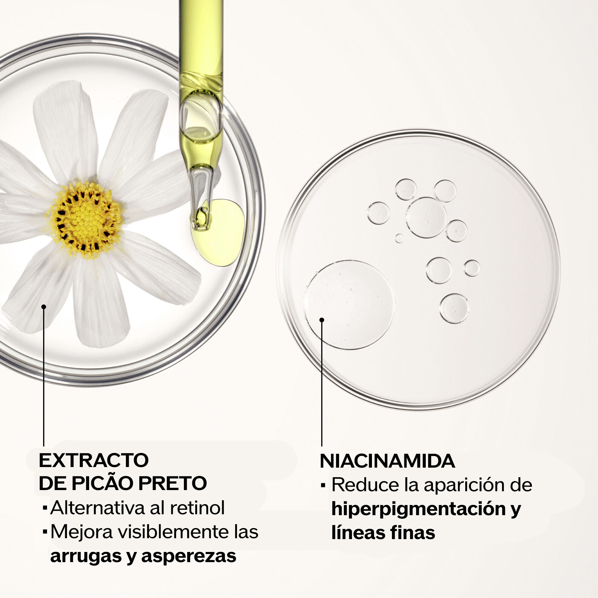 Brightening and Wrinkle Smoothing Cream,