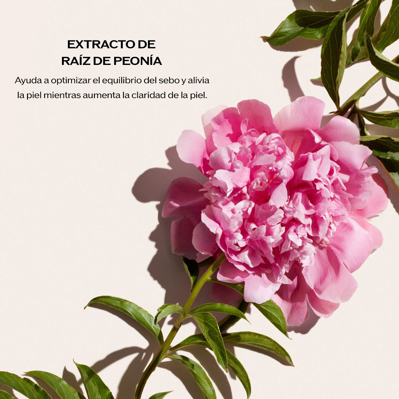 Deep Cleansing Foam,