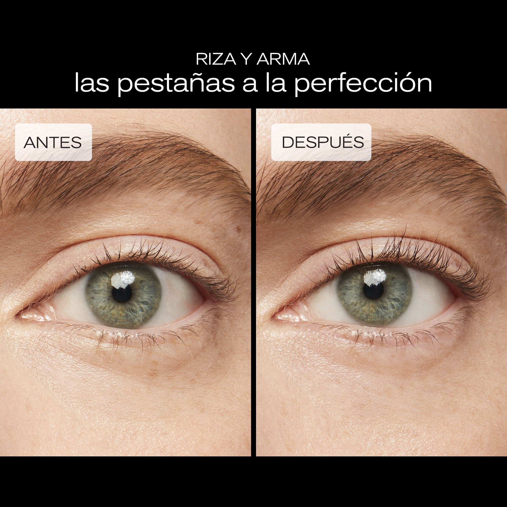 Eyelash Curler,