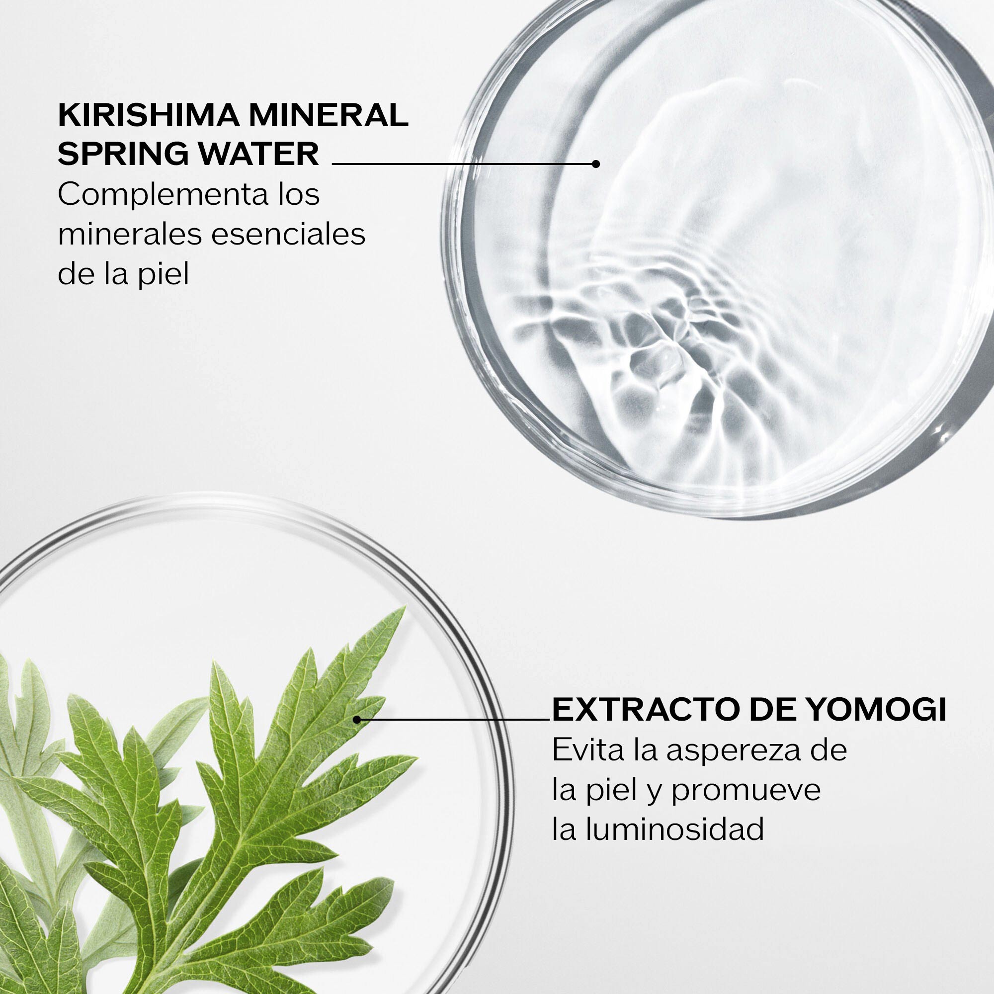 Treatment Softener (for normal and combination to oily skin),
