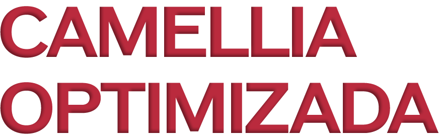 Camellia optimizada